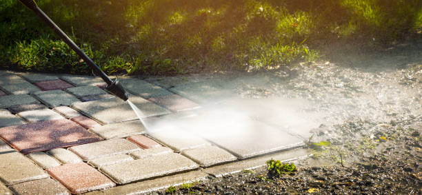 Animal Enclosure Cleaning in Centreville, IL
